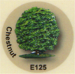 E125 クリの木