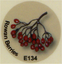 E134 赤い実