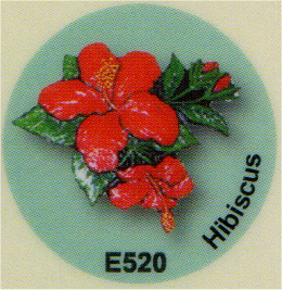 E520 ハイビスカス