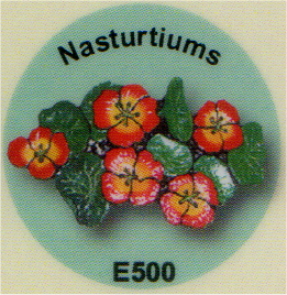 E500 ナスタチウム（金蓮花）