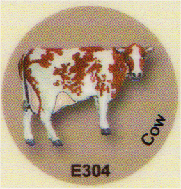 E304 牛