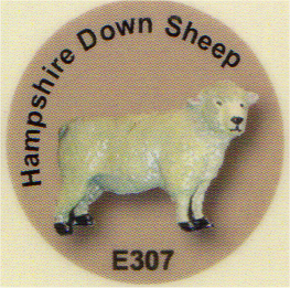 E307 羊（ハンプシャーダウン）