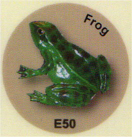 E50 カエル