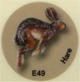 E49 野ウサギ