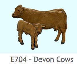 E704 デボン地方の牛