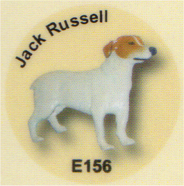 E156 ジャック・ラッセル