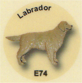 E74 ラブラドール
