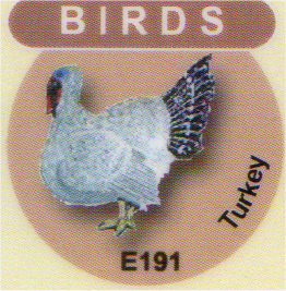 E191 七面鳥