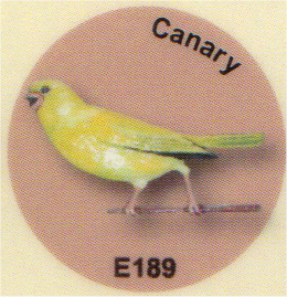 E189 カナリア