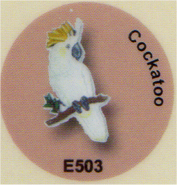 E503 オウム